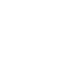 Vivos Airway & Growth Development Program