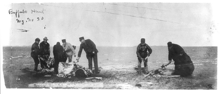 Desollando bisontes.