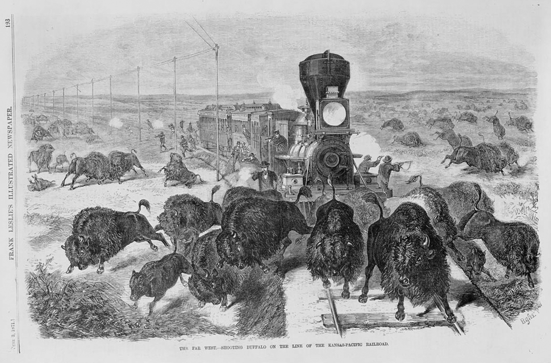 Otro factor implicado en la matanza de bisontes fue el ferrocarril.