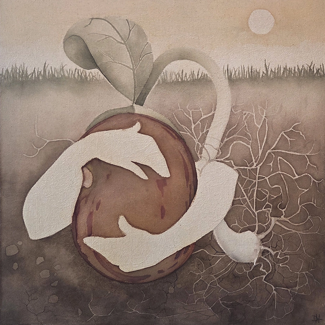 Images taken by the author and from the artist’s Instagram profile