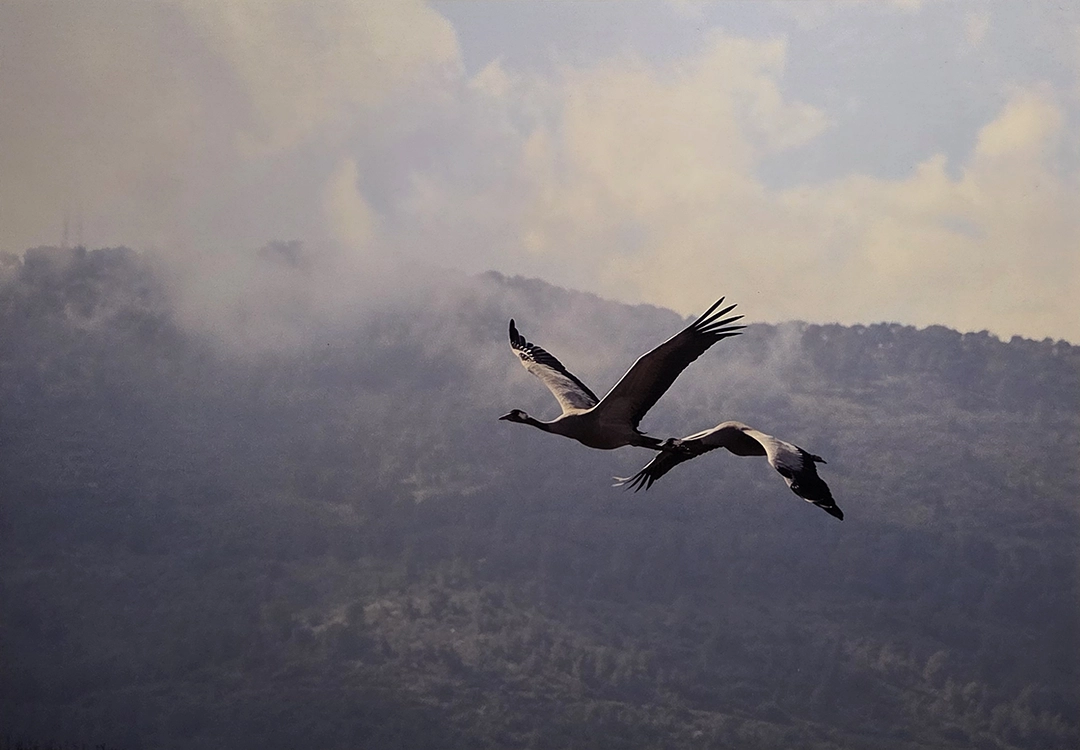 Pieces on Display. We have on this land which makes life worth living. Open to the public on September 10, 2025, at OMBRÉ Gallery, 1429 Vine Street, Cincinnati, OH.