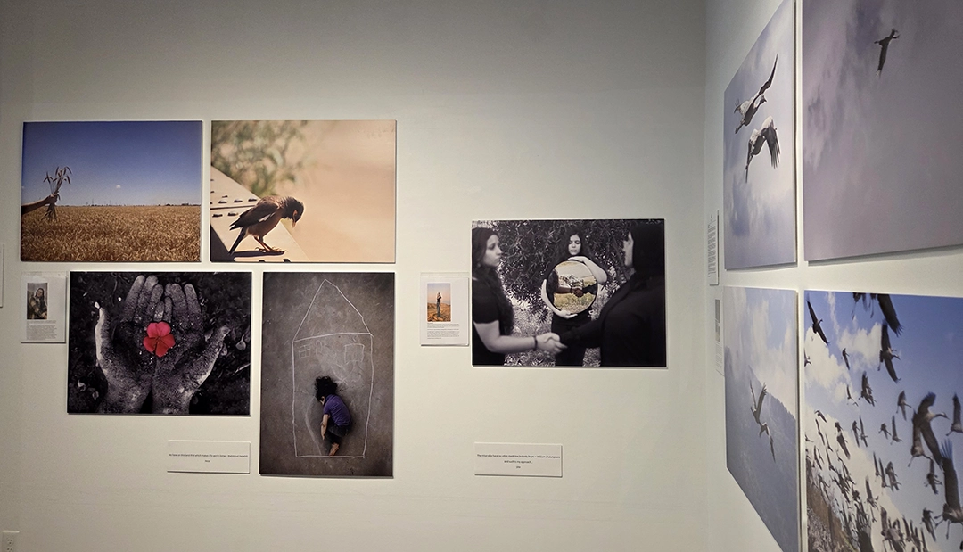 Pieces on Display. We have on this land which makes life worth living. Open to the public on September 10, 2025, at OMBRÉ Gallery, 1429 Vine Street, Cincinnati, OH.