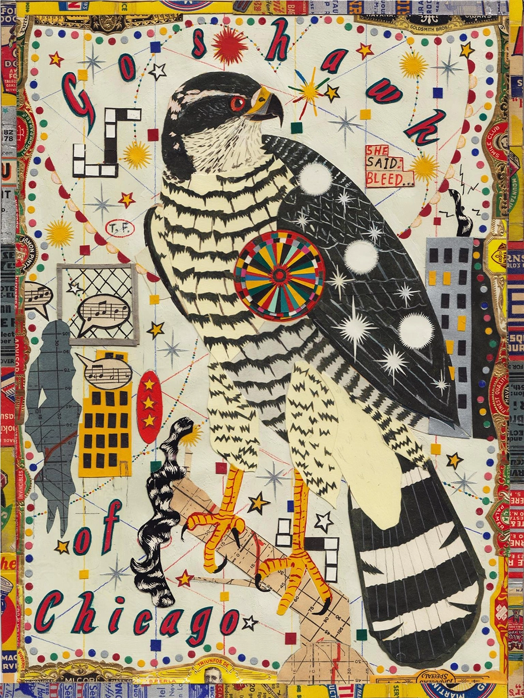 The Goshawk and Her Comets (2015) fue uno de los collages exhibidos en The Secret Birds, la exposición presentada en el DePaul Art Museum. Imagen cortesía del artista. De la colección de Helen Macdonald.