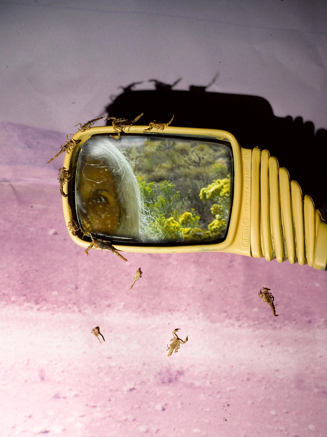 Deltang, 2024, Archival pigment print, 24 x 18 inches. Image courtesy of the artist, Harlan Levey Projects, Brussels & Edel Assanti, London.