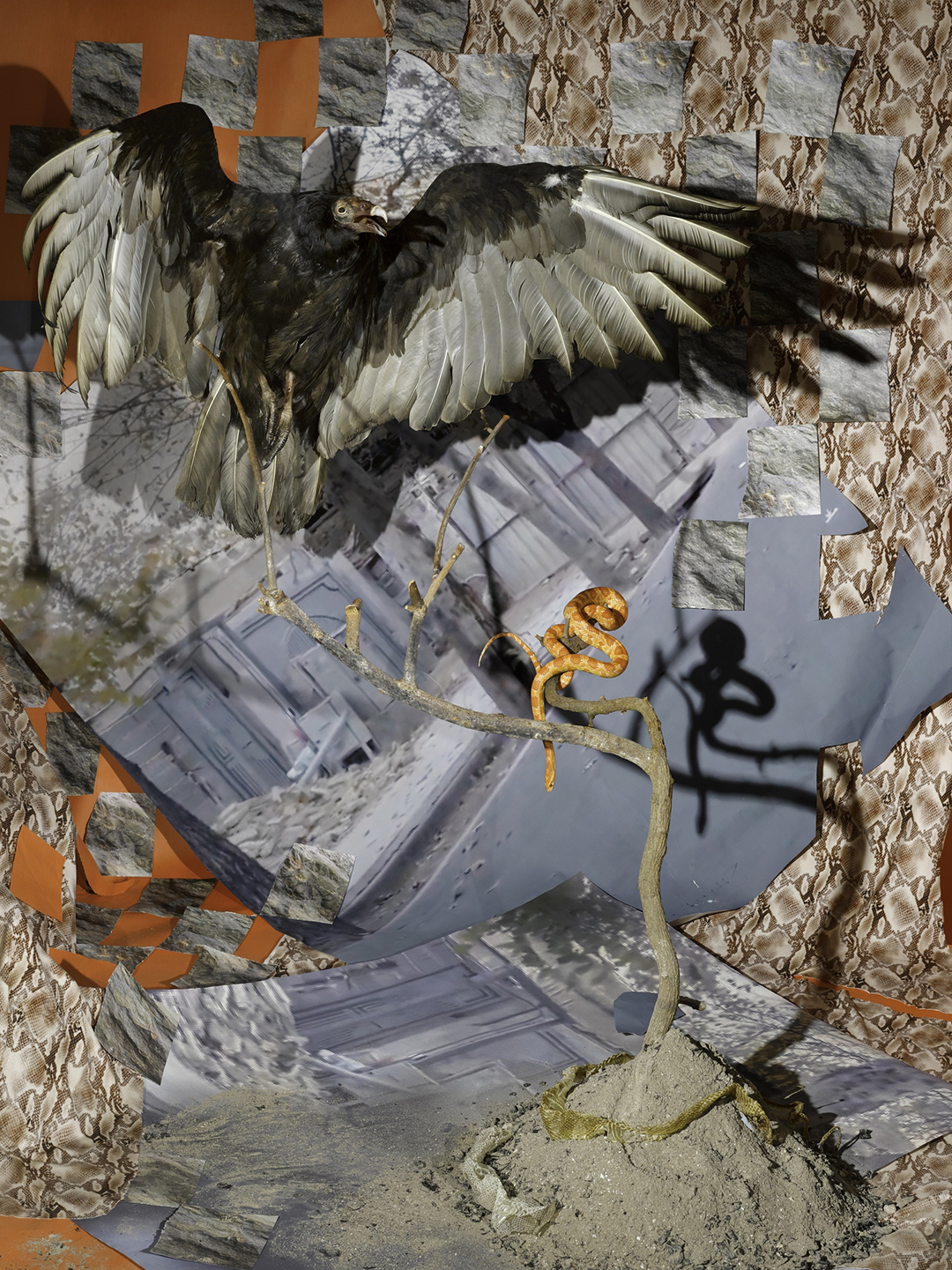 In Commission, 2024, Archival pigment print, 40 x 30 inches. Image courtesy of the artist, Harlan Levey Projects, Brussels & Edel Assanti, London.