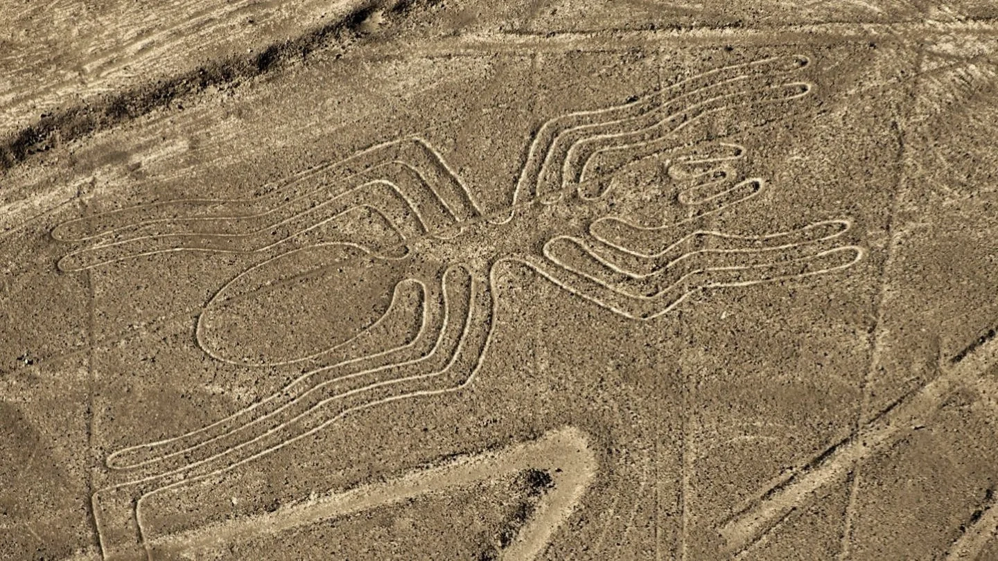 Araña, Nazca