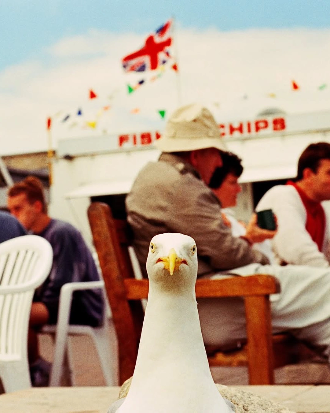 Imágenes tomadas de las redes sociales.