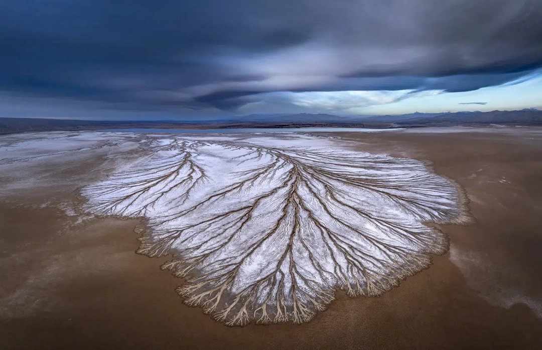 Desert Playa, de David Swindler, Estados Unidos. Tercer lugar IAPOTY 2025.