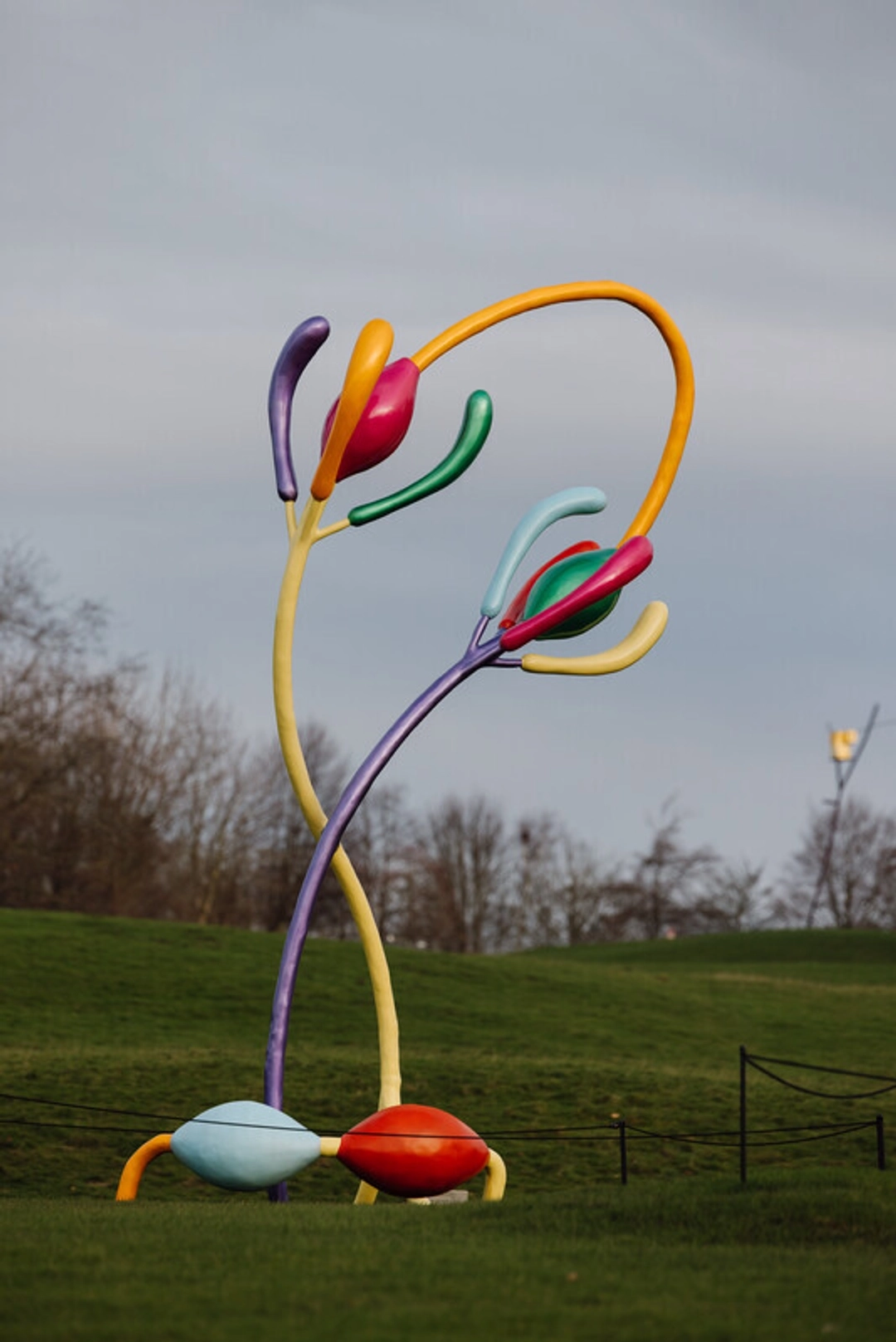 Muamba Posy. By Vanessa da Silva.