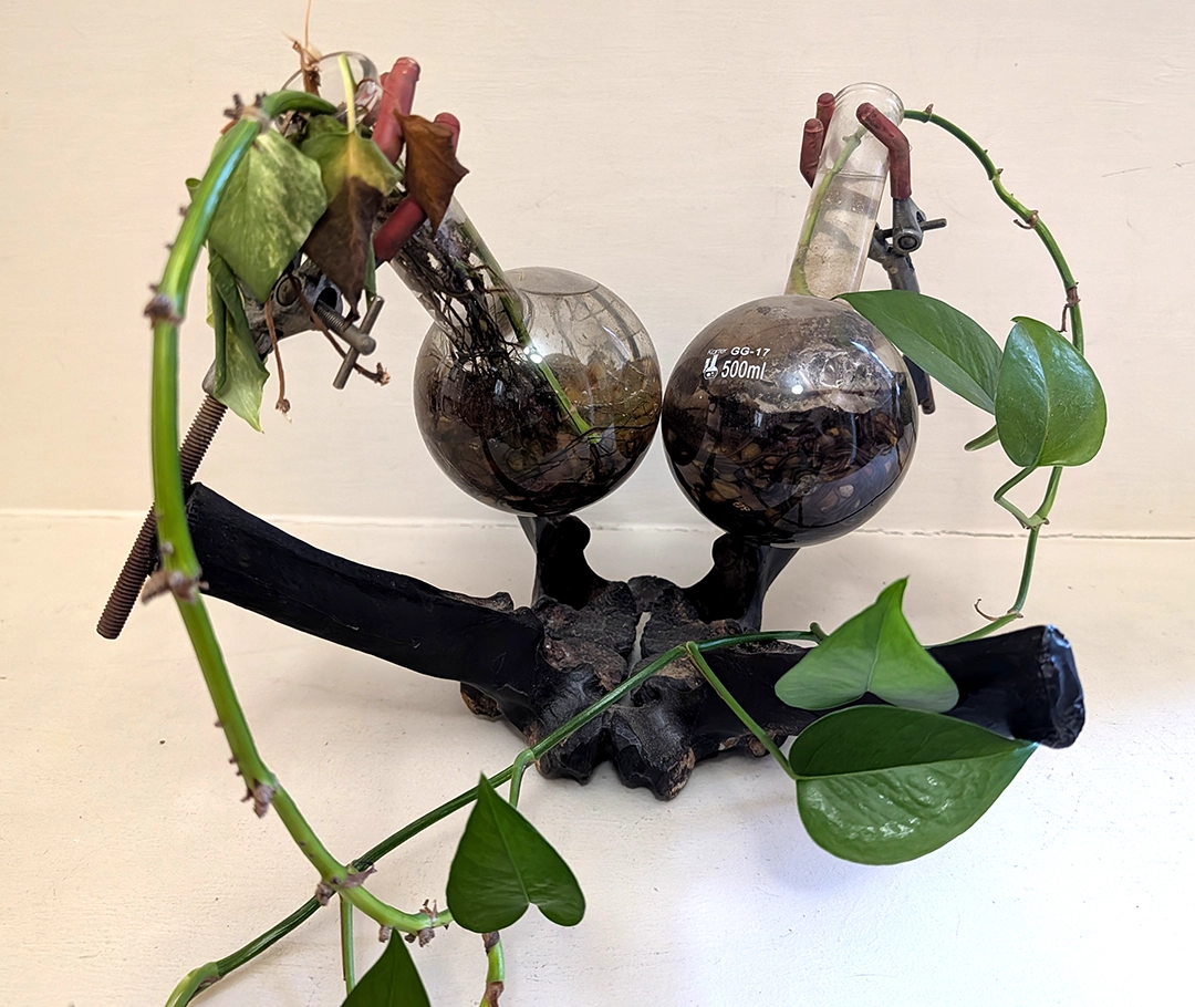 All photographs of individual works, whether documented independently or within the studio context, were taken by the author or supplied directly by the artist for the purposes of this review.