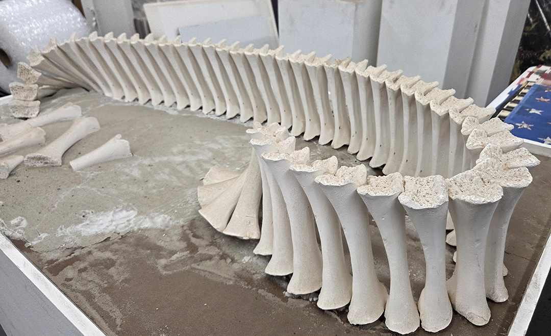 All photographs of individual works, whether documented independently or within the studio context, were taken by the author or supplied directly by the artist for the purposes of this review.