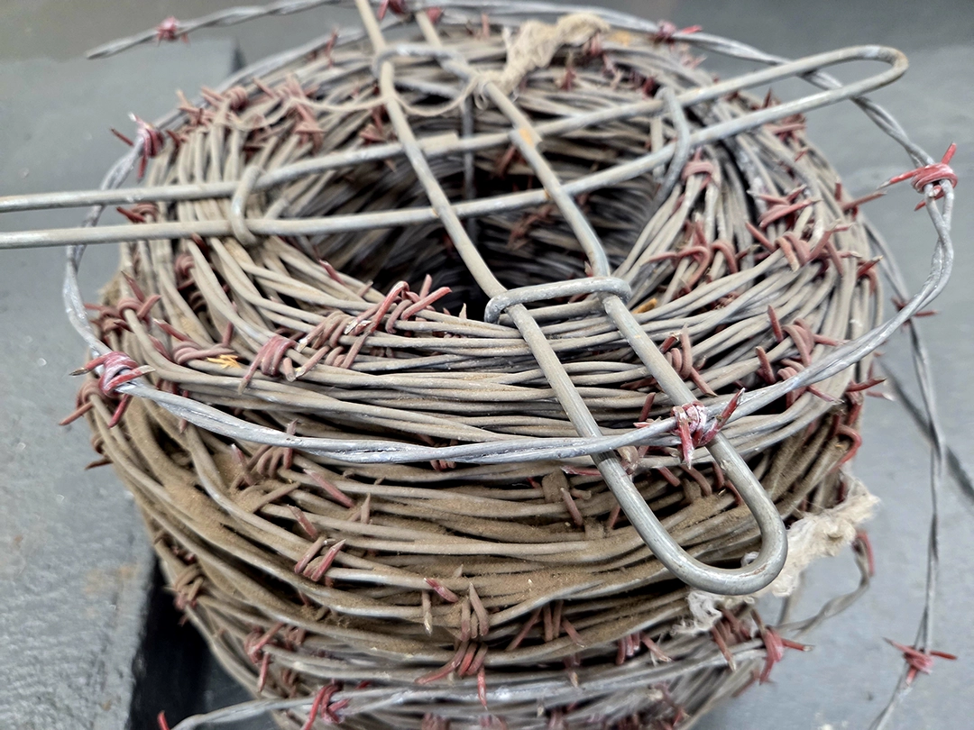 All photographs of individual works, whether documented independently or within the studio context, were taken by the author or supplied directly by the artist for the purposes of this review.