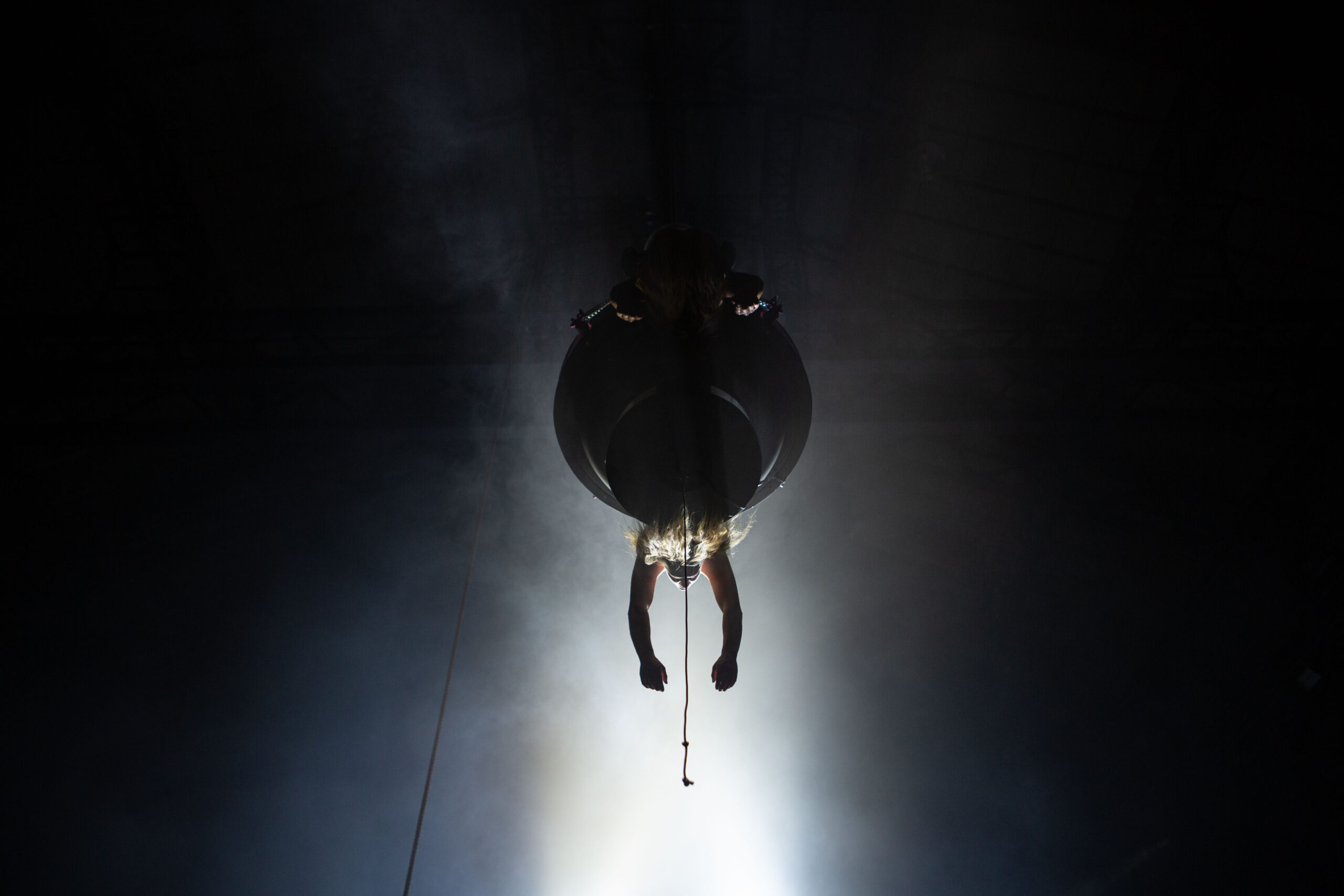 Bell Etude ©Tammo Walter