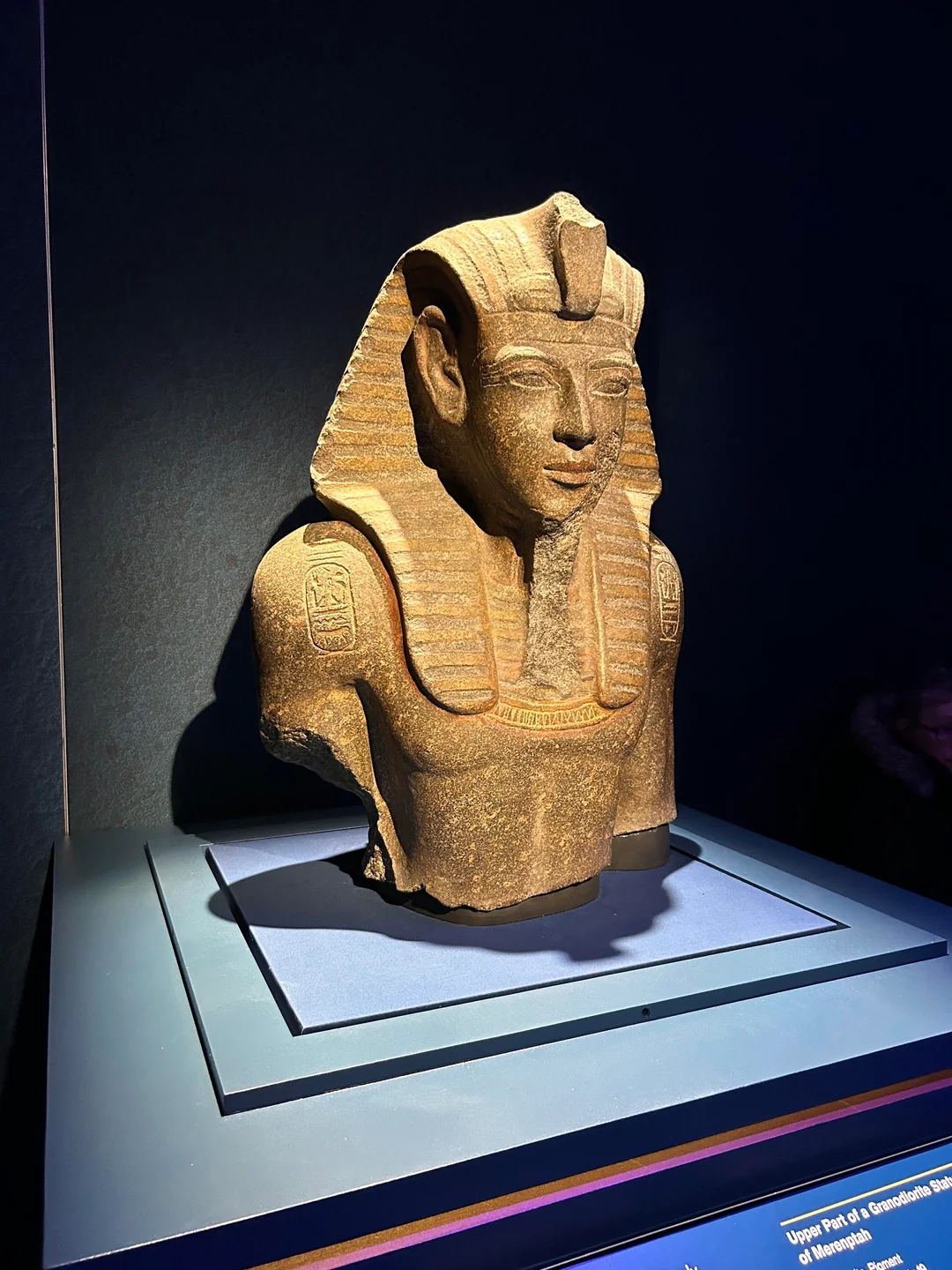 Upper part of a granodiorite statue of Merenptah. 19th Dynasty. Reigned c. 1213–1203 BC; he was the son and successor of Ramsés II.