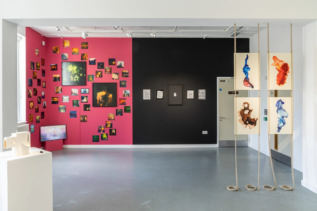 Installation view via the artist's Instagram. Courtesy of Daniel Regan.