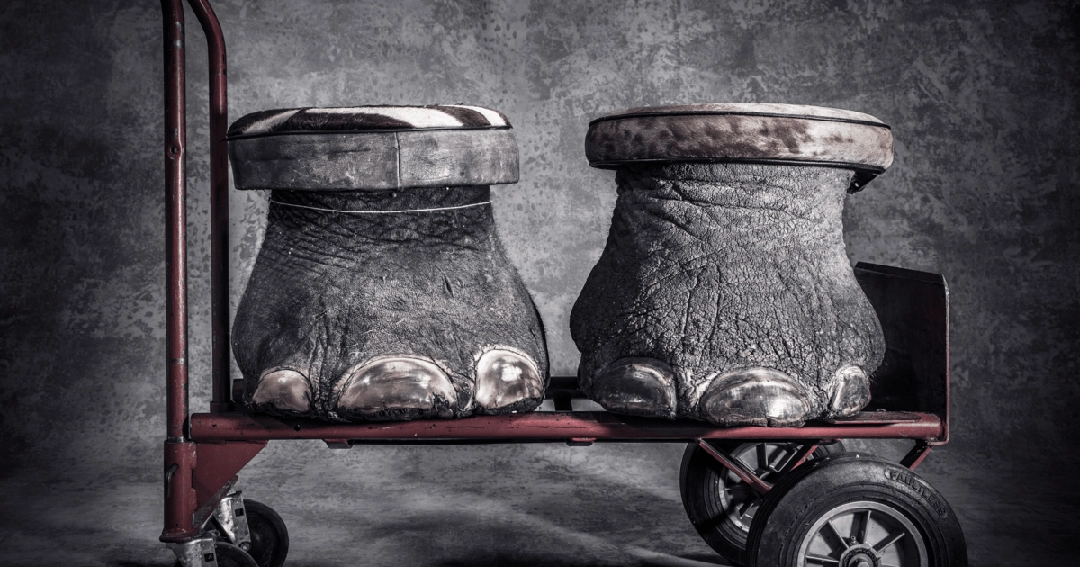Photograph by Britta Jaschinski