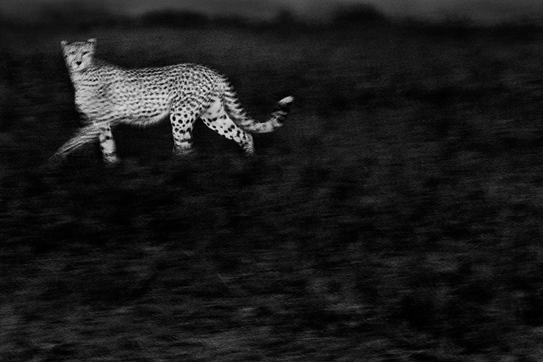 Photograph by Britta Jaschinski