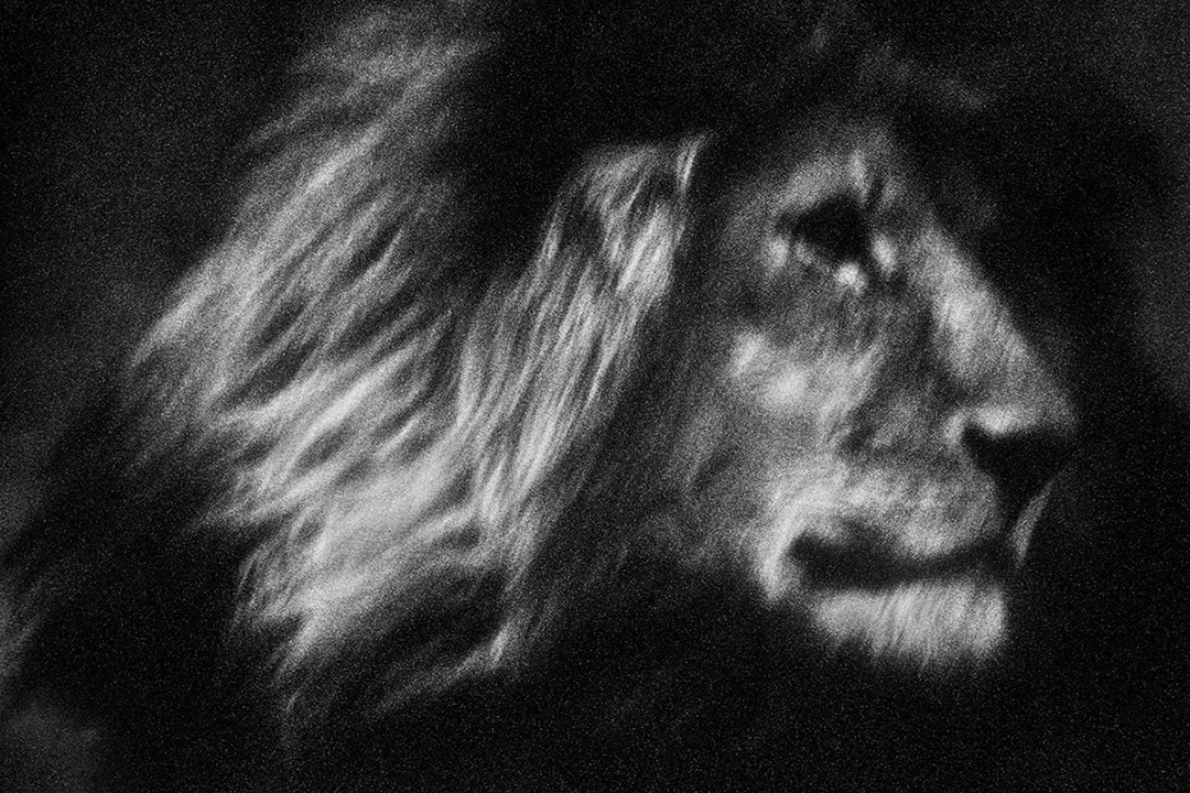 Photograph by Britta Jaschinski
