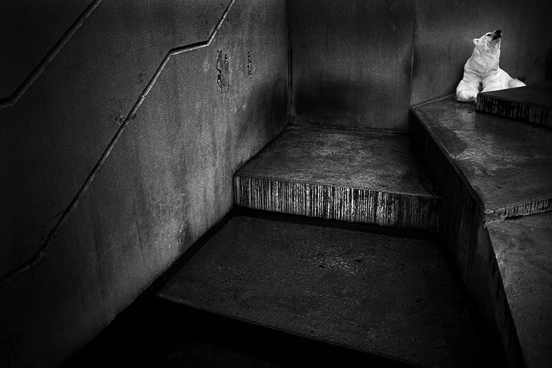 Photograph by Britta Jaschinski