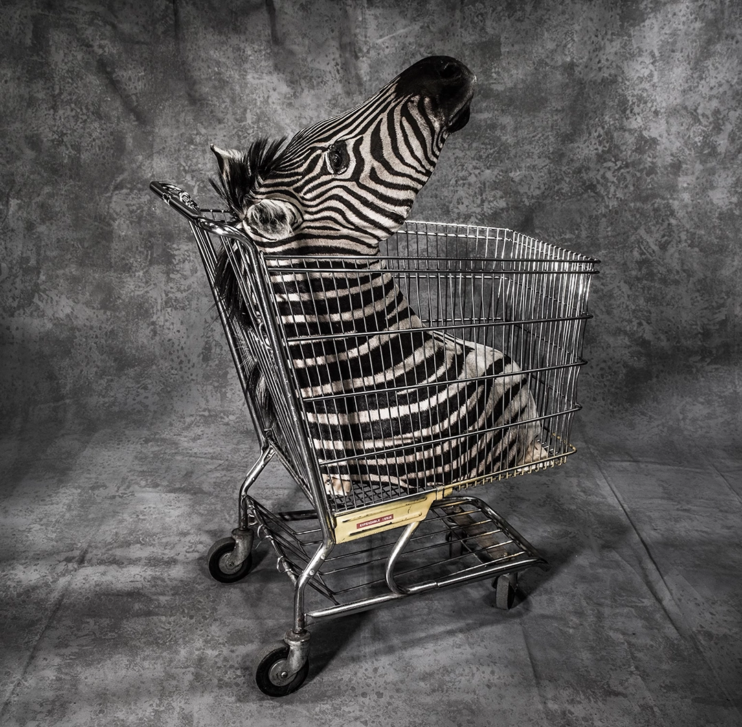 Photograph by Britta Jaschinski