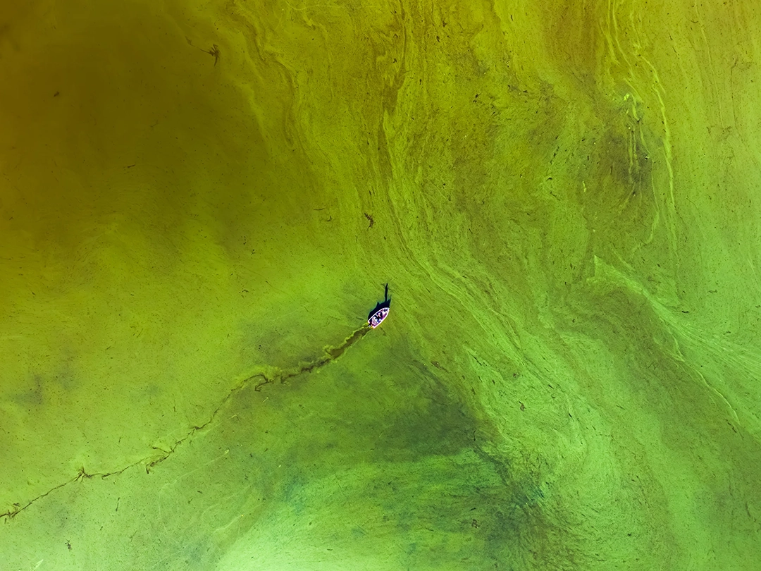 Nature Careers Working Scientist Photo Competition: los otros