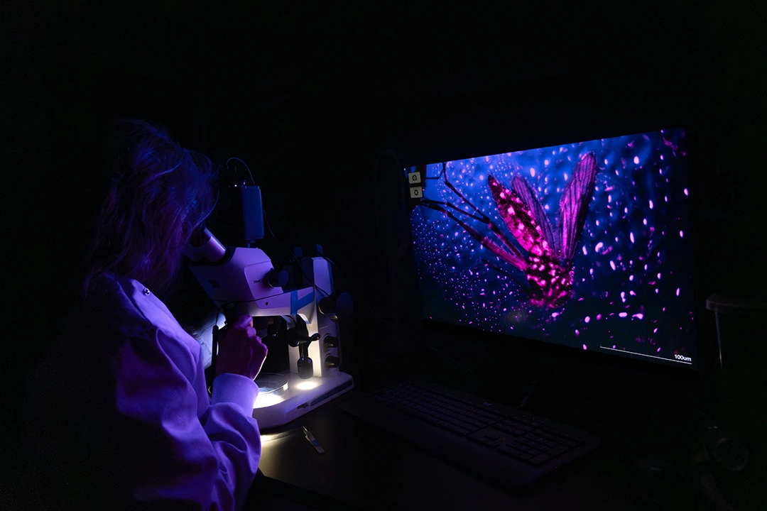 Nature Careers Working Scientist Photo Competition: los otros