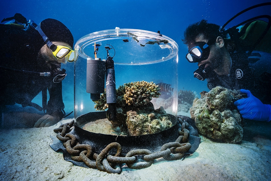 Nature Careers Working Scientist Photo Competition: los otros