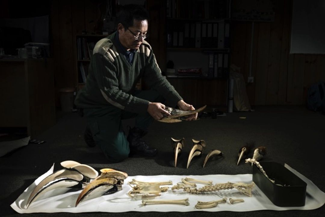 Aaron Gekoski: The Bird Man of Bhutan | Naturaliste et protecteur des oiseaux, Bhoutan, 2024 | Catégorie - Acteurs du changement | Mention d’honneur