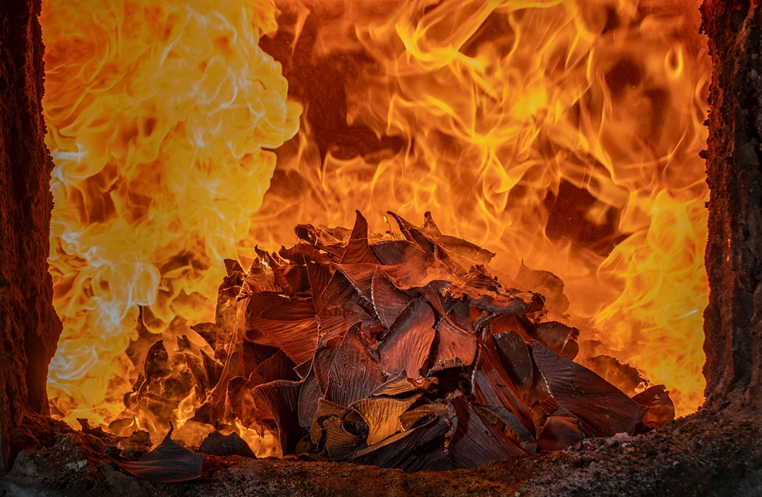 Environmental Photography Award 2026: The Other Six Winning Photographs