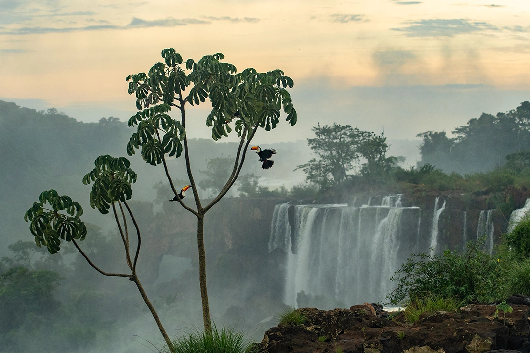 Environmental Photography Award 2026: The Other Six Winning Photographs