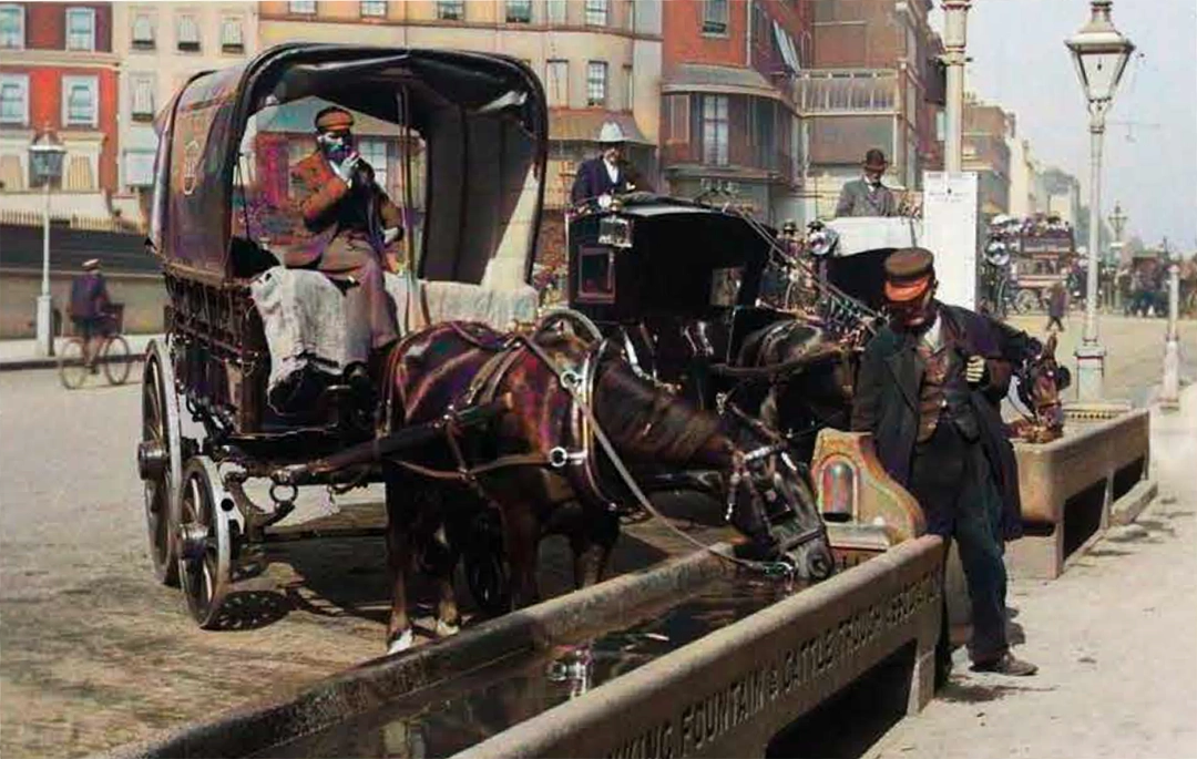 Horses drink from a trough near Marble Arch, London, c 1890
