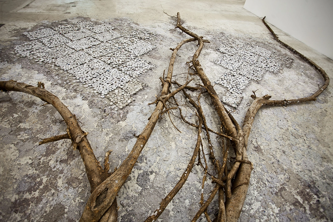 Death of a Printed Story, 2014, tree root, compressed paper rolls, and paper pulp from different publication