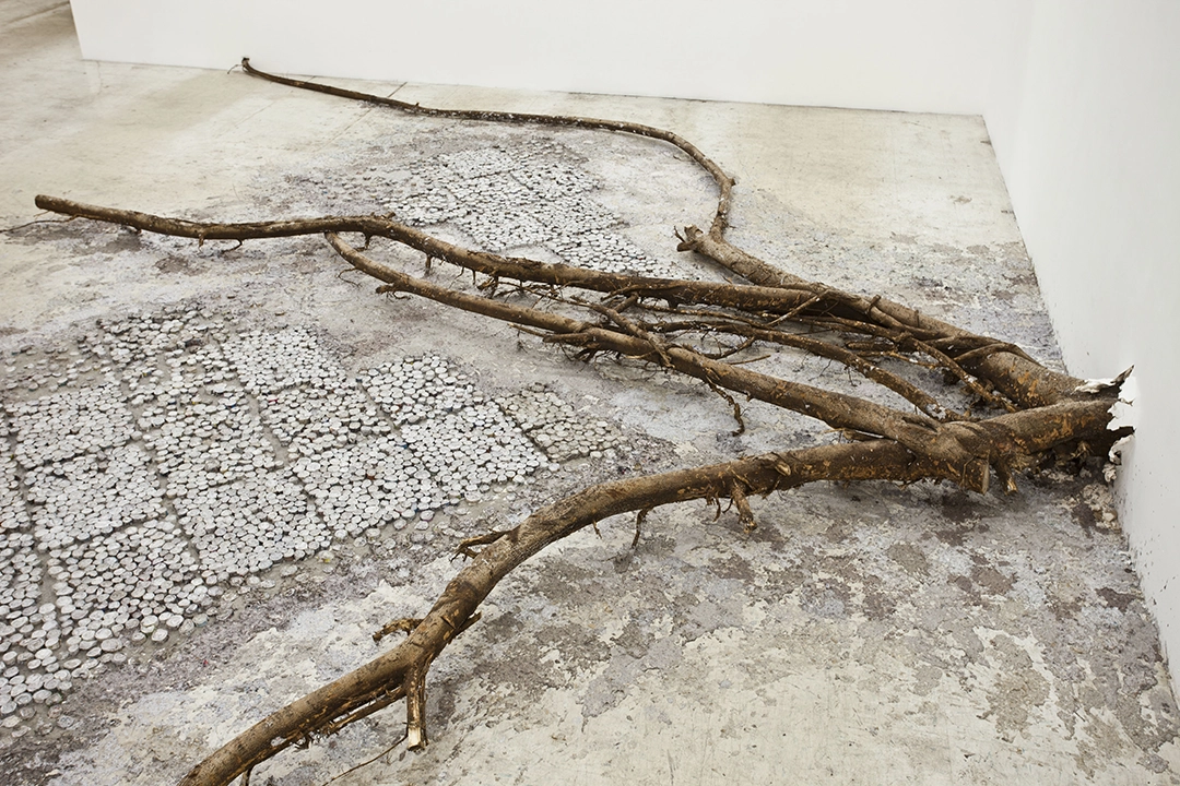 Death of a Printed Story, 2014, tree root, compressed paper rolls, and paper pulp from different publication