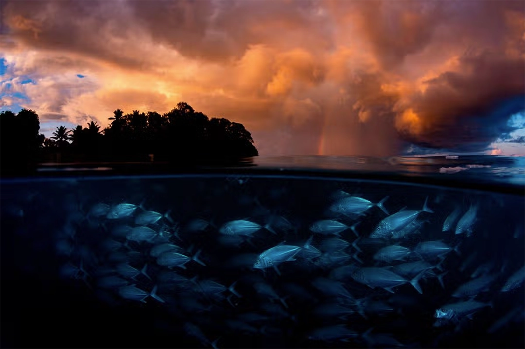 Shane Gross slowly approaches a school of bigeye trevally as the morning light breaks and a storm approaches.
