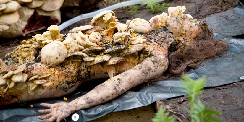 Still from Hannibal, Season 1, Episode 2, “Amuse-Bouche” (2013).
