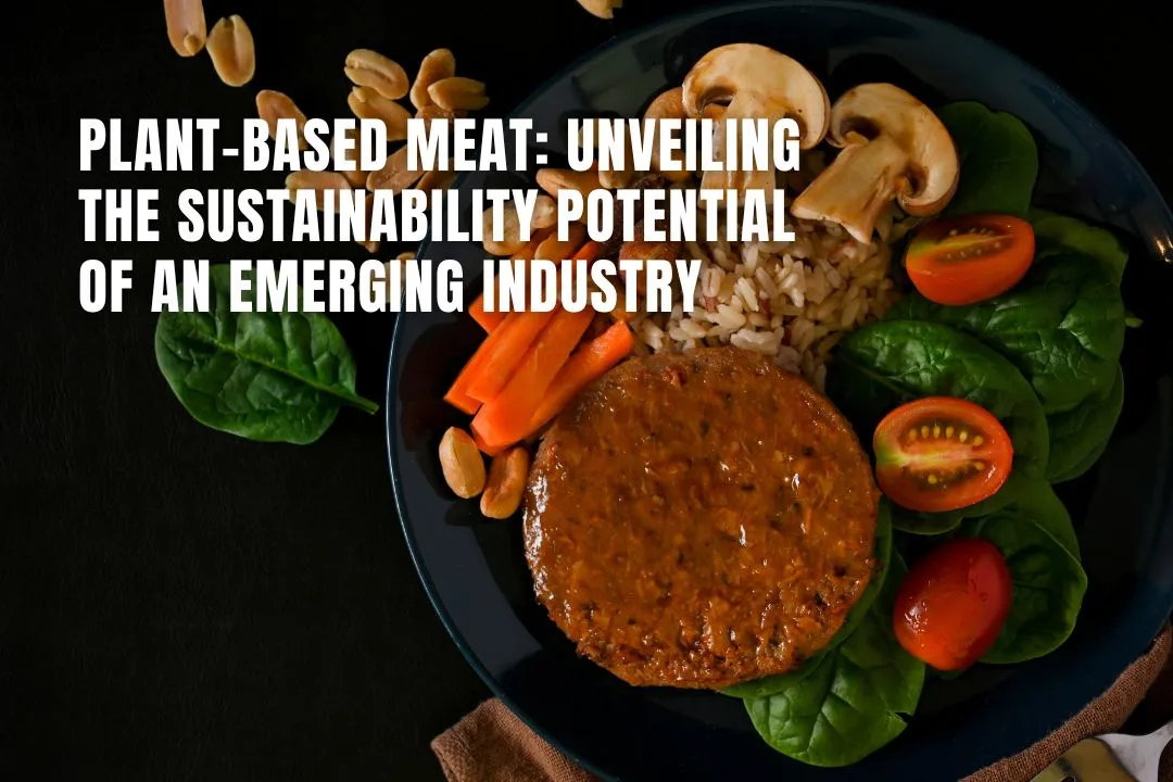 Plant-Based Meat: Unveiling the Sustainability Potential of an Emerging Industry