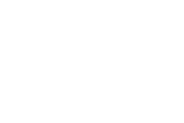 Lloyd's Register logo in white