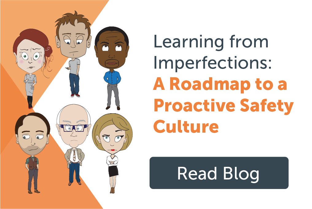 Learning from Imperfections: A Roadmap to a Proactive Safety Culture