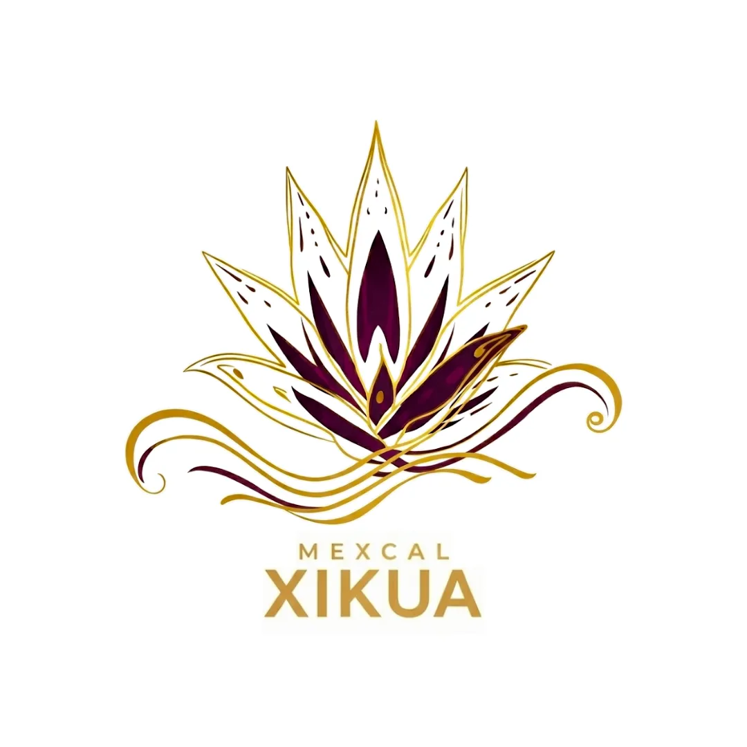 https://productosdigitales.fuckupnights.com/wp-content/uploads/2022/08/XIKUA_Logo-1-png.webp