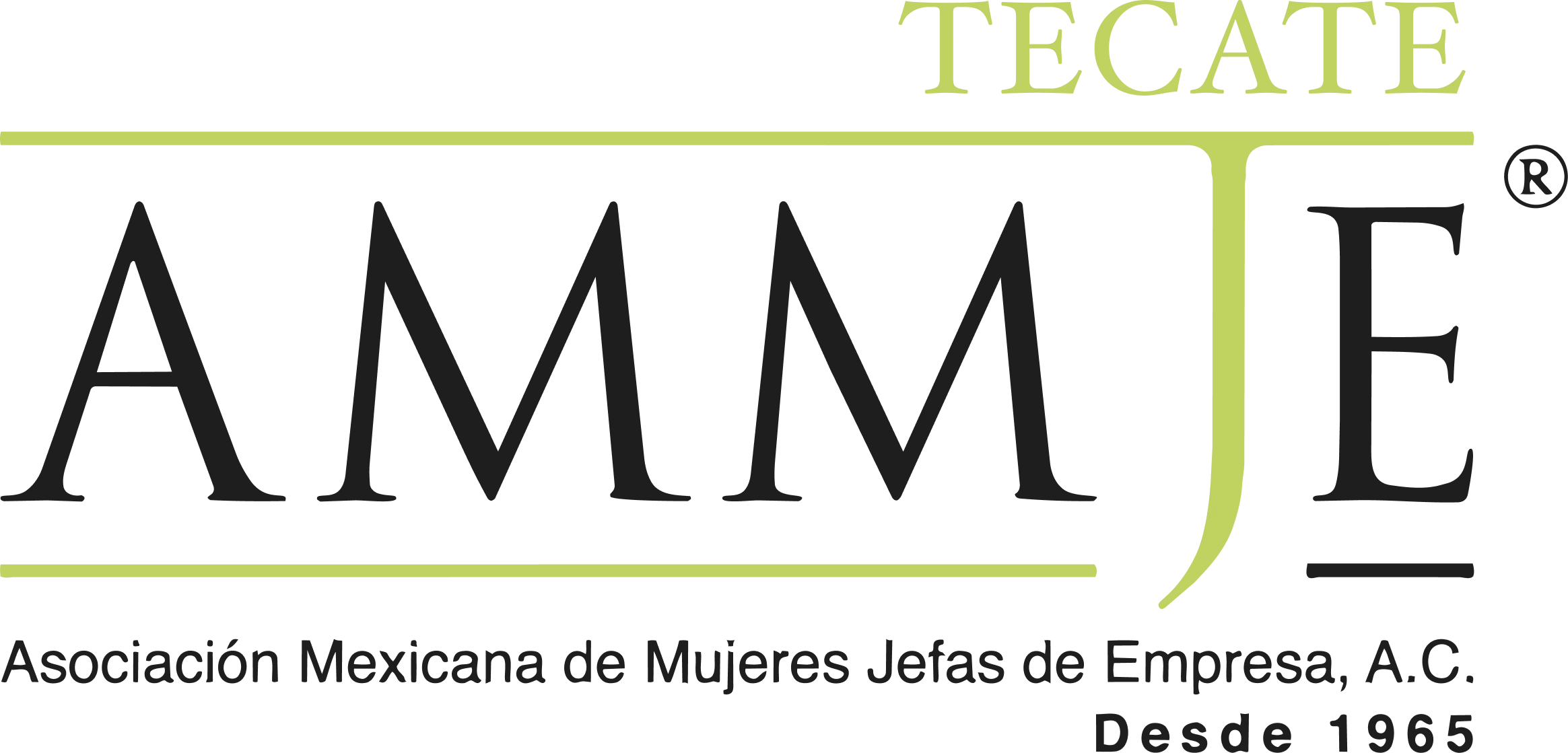 https://productosdigitales.fuckupnights.com/wp-content/uploads/2026/08/ammje-png.webp