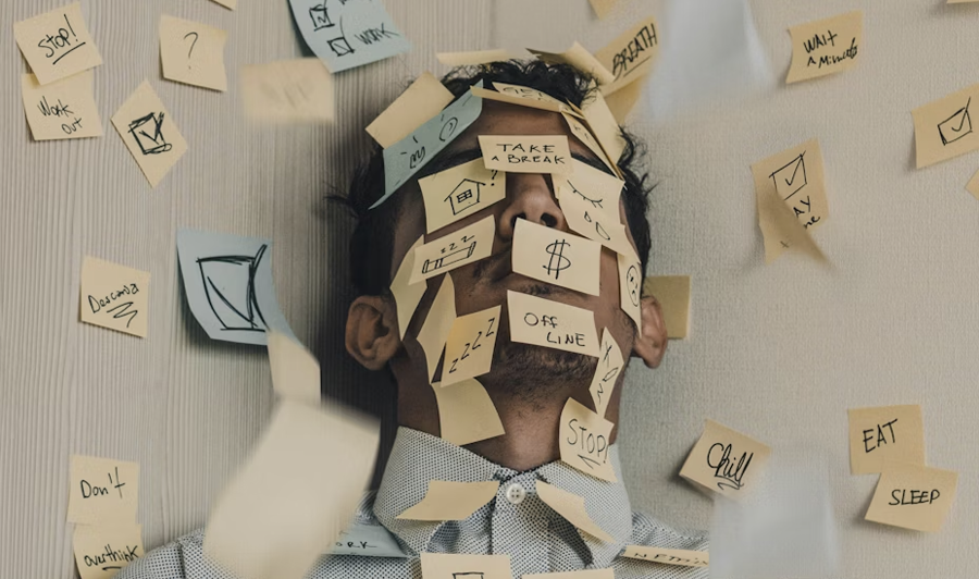 szervezetpszichológia