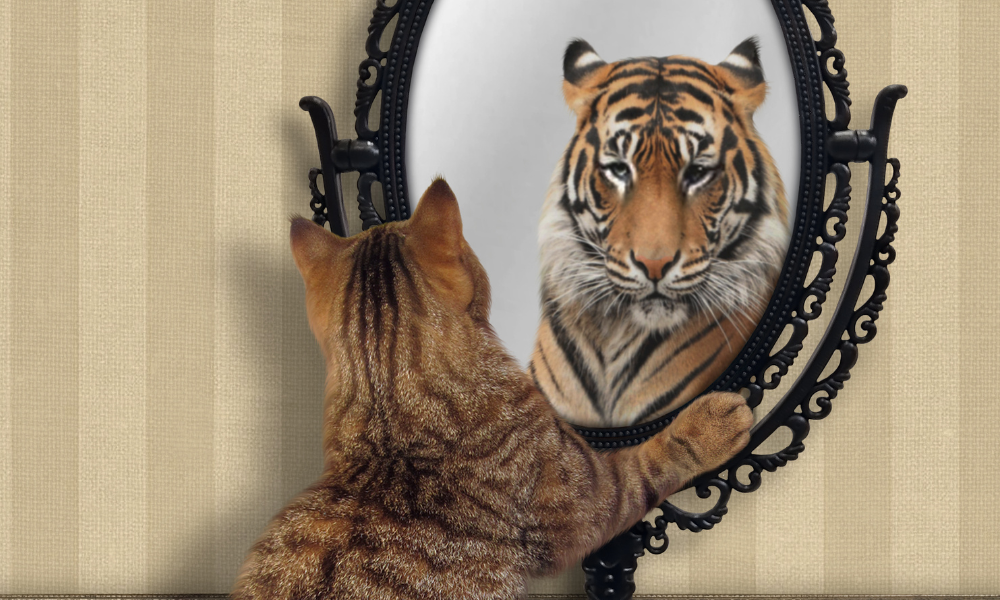 imposztor szindróma