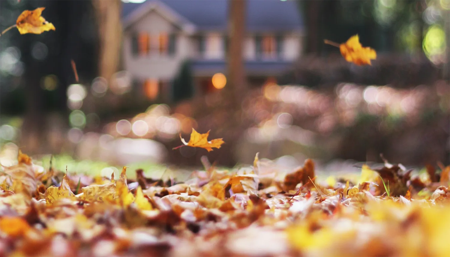 Herbst 2025: Worauf Käufer und Eigentümer jetzt achten sollten