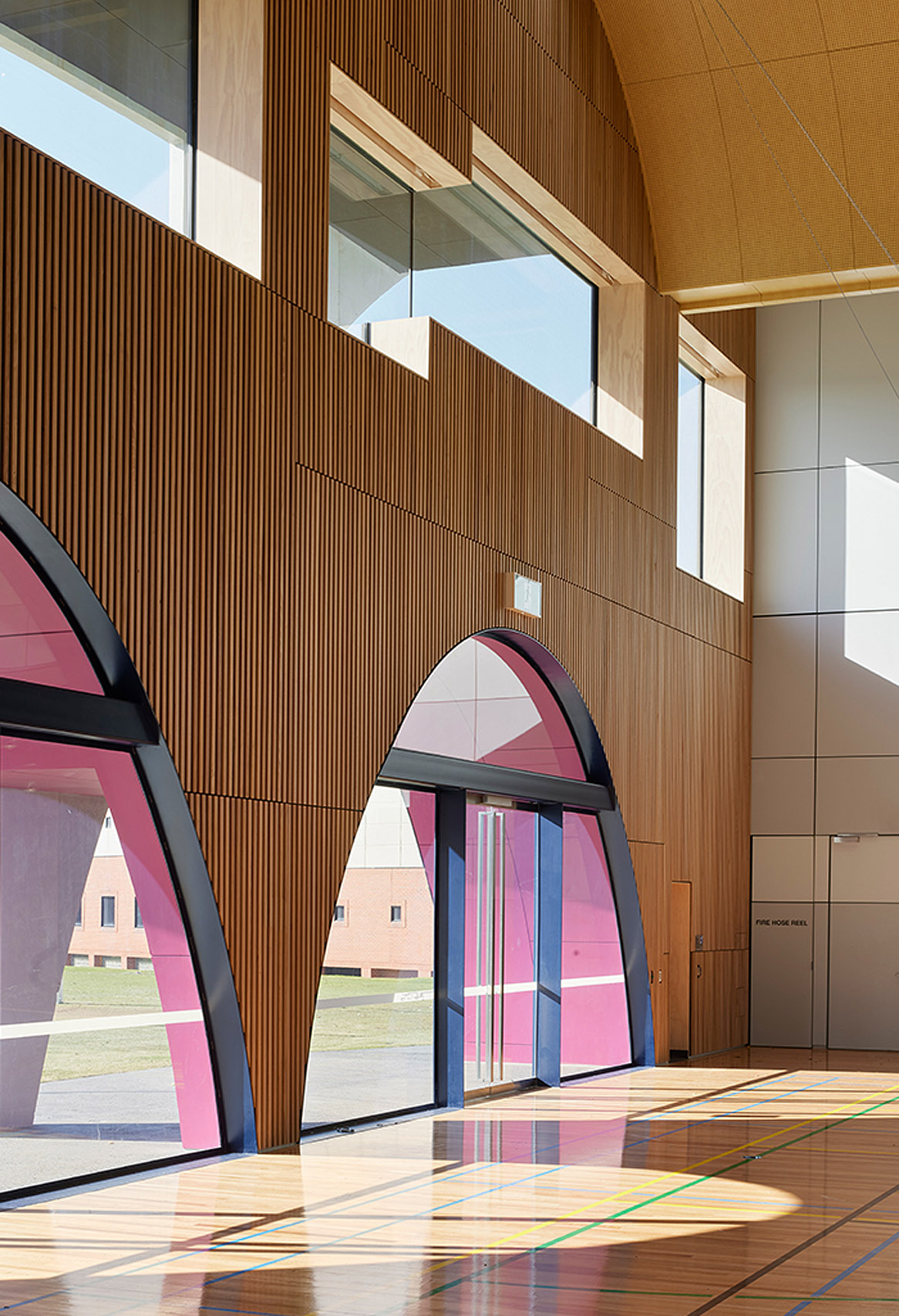 Blockout and Transparent Roller Blinds in a School.