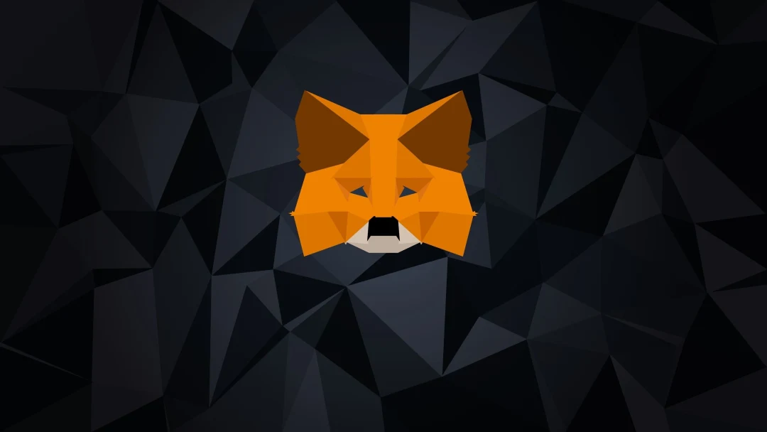 MetaMask Bug Causes Excessive SSD Wear, Patch Promised Soon