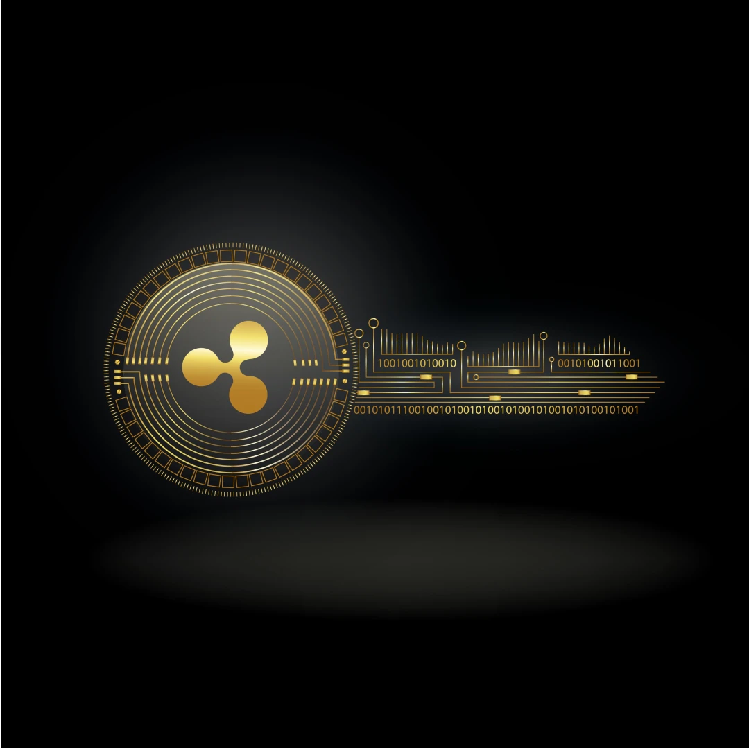 Ripple CTO Clarifies XRP Ledger Decentralization and Denies Secret Access