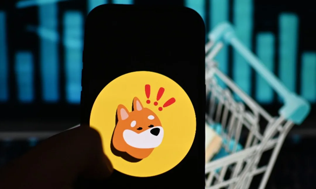 Safety Shot Stock Crashes on BONK Treasury Move