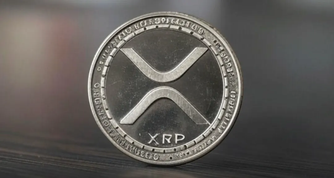 BlackRock ETF XRP: Why the Asset Manager Isn’t Launching One