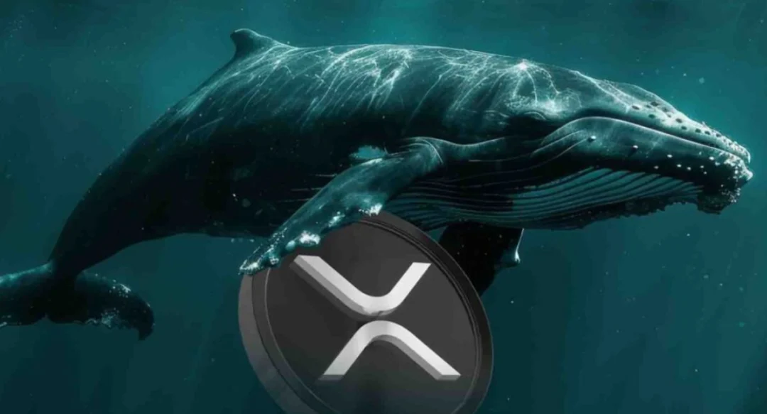 How Much XRP to Be a Whale: Defining Whale Status
