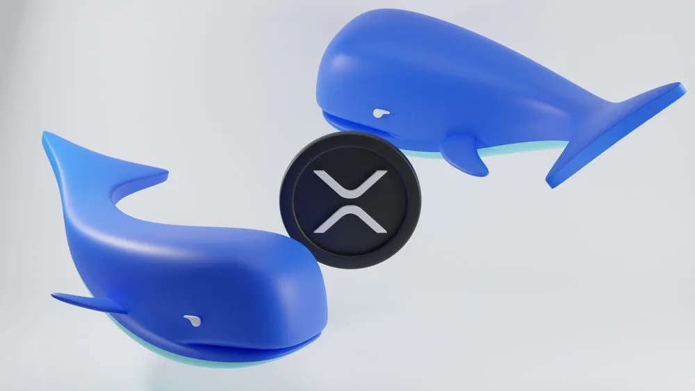 Whales Buying the Dip — XRP Poised to Power Real-Time SWIFT Settlements